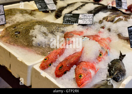 Varietà di pesce in vendita su ghiaccio, Algarve, Portogallo meridionale Foto Stock