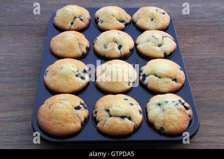 Muffin ai mirtilli in tin Foto Stock