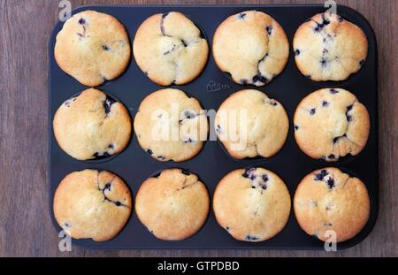 Muffin ai mirtilli in tin Foto Stock