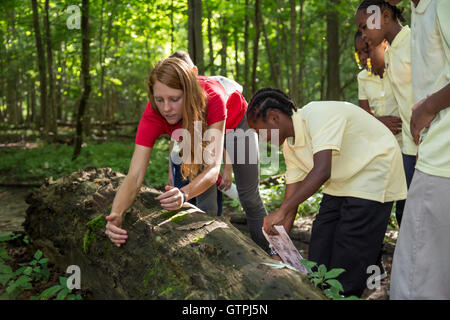 Detroit, Michigan - quinta elementare gli studenti di Dixon scuola elementare, escursione sul ponte di pietra Sentiero Natura Rouge Park. Foto Stock