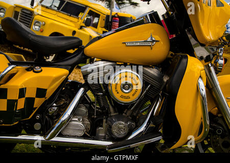 AA abbattere i veicoli sul display a Goodwood Festival della velocità Foto Stock