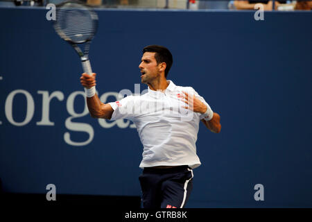 New York, Stati Uniti. 09Sep, 2016. Novak Djokovic durante la sua semifinale partita contro Gael Monfils di Francia presso gli Stati Uniti Open Tennis campionati a Flushing Meadows, New York Venerdì, Settembre 9th. Djokovic ha vinto la partita in quattro serie di anticipo per il credito finale: © Adam Stoltman/Alamy Live News Foto Stock