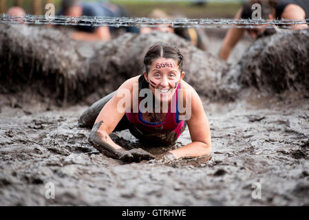 Cheshire, Regno Unito 10 Settembre 2016. Concorrente scorre attraverso il bacio di fango a dura Mudder Nord Ovest 2016 10/09/2016 Credit: Gary Mather/Alamy Live News Foto Stock