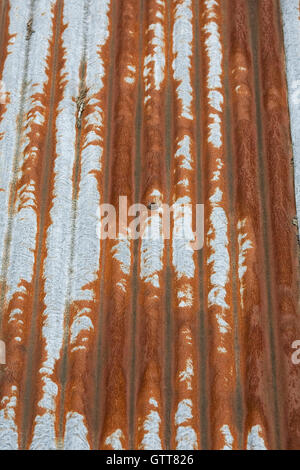 Rusty ferro corrugato tetto. Foto Stock