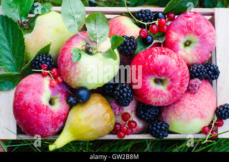 Frutta fresca in una scatola di legno su uno sfondo di erba verde. Foto Stock