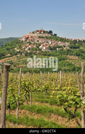 Città medievale di Montona sulla cima di una collina, Croazia Foto Stock