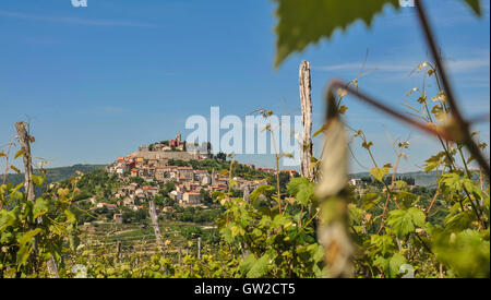 Città medievale di Montona sulla cima di una collina, Croazia Foto Stock