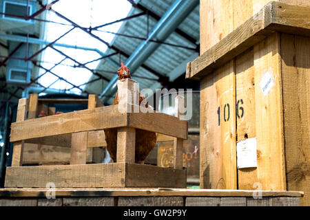 Mostre di polli per il trasporto in 'buona sezioni" Swindon Railway Museum. Inghilterra, Regno Unito Foto Stock