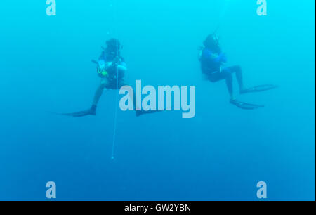 Due sommozzatori in 5 min di arresto di sicurezza, Maldive Foto Stock