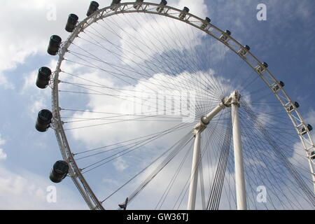 Il Singapore Flyer Foto Stock
