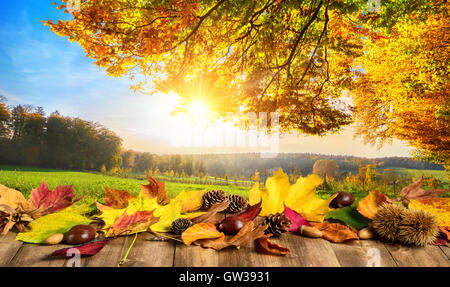 Concetto di autunno con foglie colorate su una tavola di legno nella parte anteriore di un soleggiato paesaggio aperto Foto Stock
