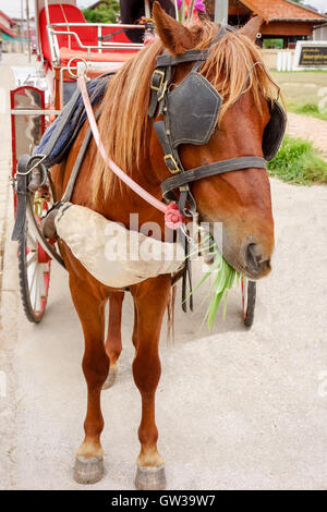 Carrozza a cavallo cabina Foto Stock