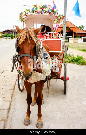 Carrozza a cavallo cabina Foto Stock