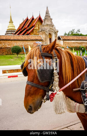 Carrozza a cavallo di cabina anteriore nel vecchio tempio Foto Stock