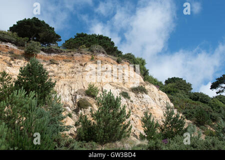 Cui Canford Cliffs, Branksome Chine, affacciato sulla Baia di Poole, Dorset, Regno Unito Foto Stock