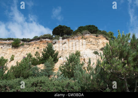 Cui Canford Cliffs, Branksome Chine, affacciato sulla Baia di Poole, Dorset, Regno Unito Foto Stock