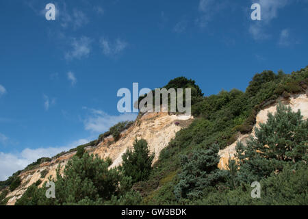 Cui Canford Cliffs, Branksome Chine, affacciato sulla Baia di Poole, Dorset, Regno Unito Foto Stock