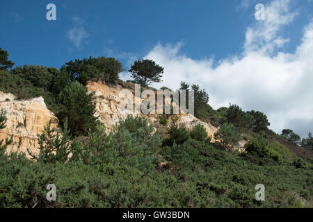 Cui Canford Cliffs, Branksome Chine, affacciato sulla Baia di Poole, Dorset, Regno Unito Foto Stock