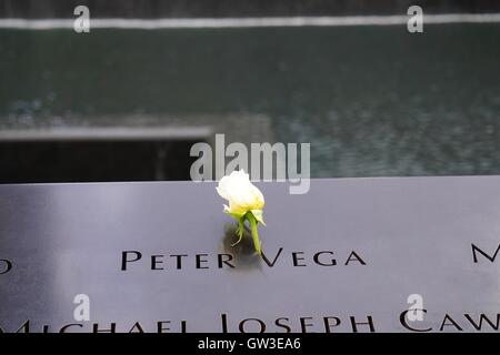 Rose collocato su un nome a settembre xi memorial in Lower Manhattan. Foto Stock