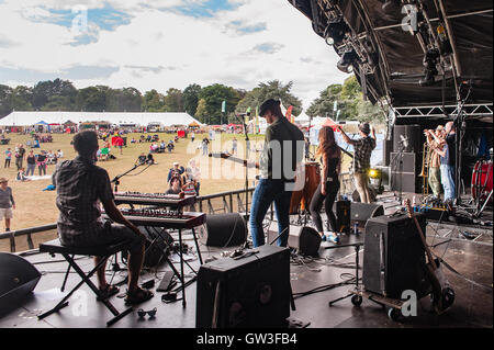 Buffalo fratelli giocare a 'Il Lakeside Stage" Camper chiamando, Ragley Hall, Alcester Warwickshire. Regno Unito 28 agosto 2016 Foto Stock