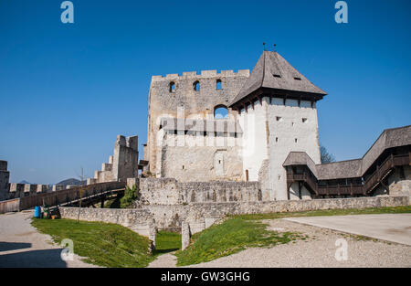 Il castello di Celje, attrazione turistica, Slovenia Foto Stock