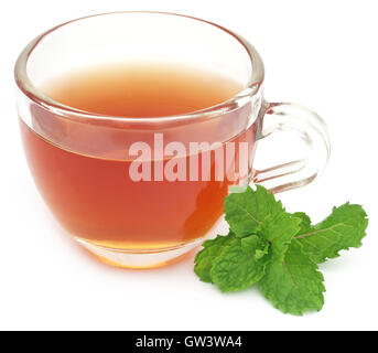 Il tè alle erbe in una tazza di foglie di menta su sfondo bianco Foto Stock