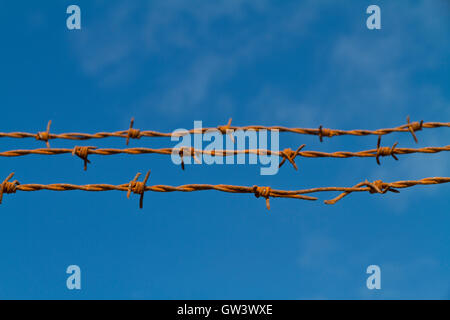 Tre trefoli soleggiato di rusty il filo spinato againsta blue sky focus sulla più vicina Foto Stock