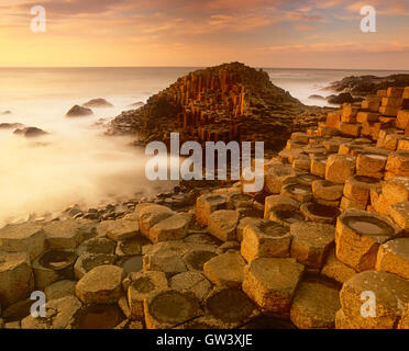 Giants Causeway al tramonto, costa di Antrim, County Antrim, Irlanda del Nord, Regno Unito Foto Stock