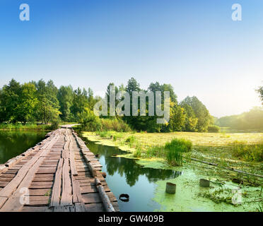 Ponte su un fiume paludoso Foto Stock