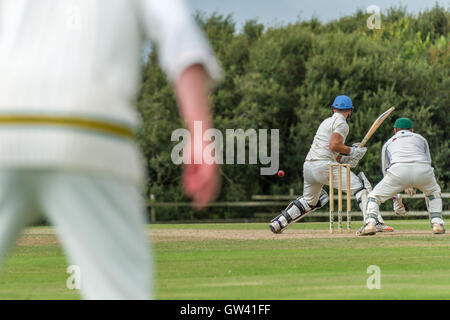 Partita di cricket Foto Stock