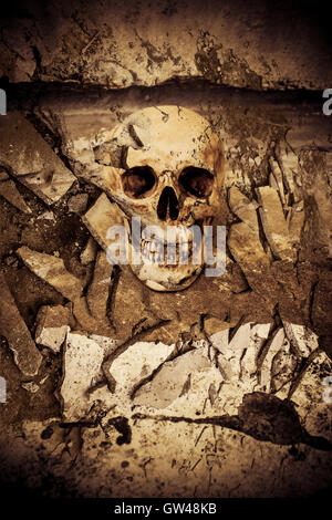 Cranio umano su rovine luogo,sfondo Horror per Halloween Concept e Poster Project Foto Stock