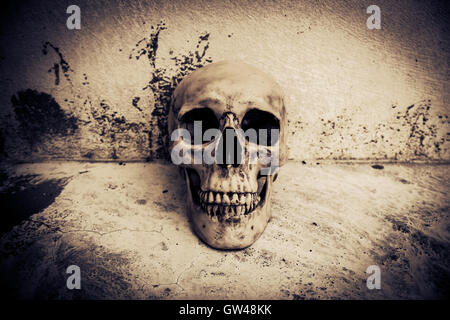 Cranio umano su rovine luogo,sfondo Horror per Halloween Concept e Poster Project Foto Stock