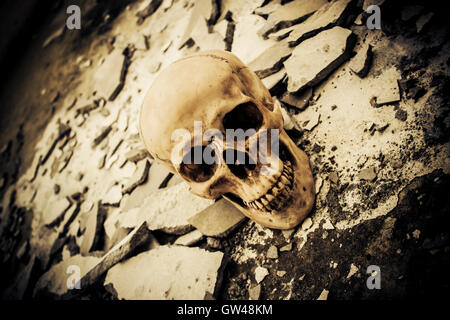 Cranio umano su rovine luogo,sfondo Horror per Halloween Concept e Poster Project Foto Stock