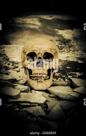 Cranio umano su rovine luogo,sfondo Horror per Halloween Concept e Poster Project Foto Stock