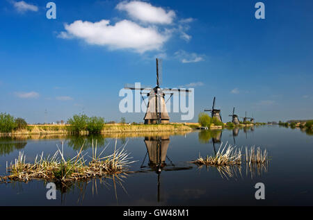 Mulino a vento olandese al canale, Kinderdijk, Alblasserwaard polder, South Holland, Paesi Bassi Foto Stock