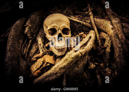 Cranio umano su rovine luogo,sfondo Horror per Halloween Concept e Poster Project Foto Stock