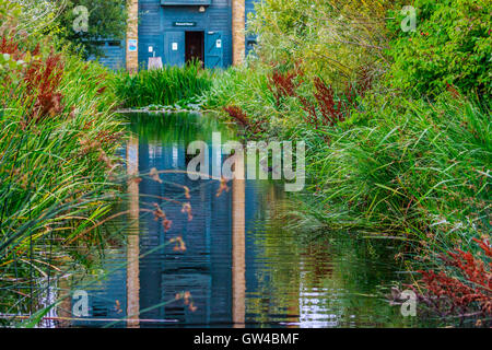 Peacock Torre a Wetland Centre Barnes Londra Foto Stock