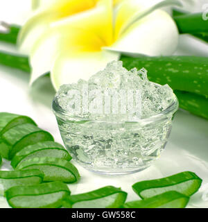 Pura Aloe vera gel su Aloe foglie e plumeria sfondo. Aloe vera gel utilizzare quasi in cibo, medicina e industria di bellezza. Foto Stock