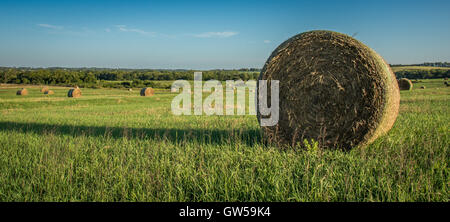 balle di fieno Foto Stock