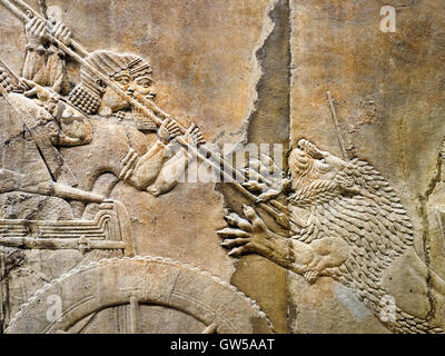 Il Royal lion hunt assira, circa 645-635 BC da Ninive, Palazzo Nord British Museum - Londra, Inghilterra Foto Stock