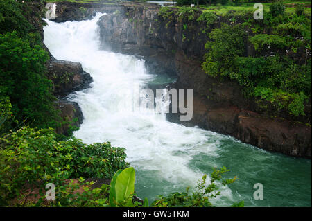 L'immagine della Cascata Randha in Bhandardara, Maharashtra, i Ghati Occidentali, monsone, India Foto Stock