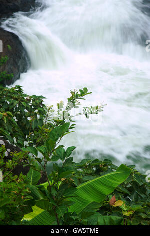 L'immagine della Cascata Randha in Bhandardara, Maharashtra, i Ghati Occidentali, monsone, India Foto Stock