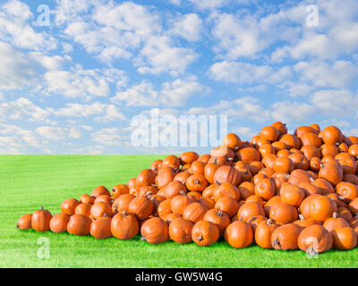 Pila di grande naturale arancione zucca rustico. All'aperto stock photo autunno paesaggio rurale sulla zucca patch campo Foto Stock