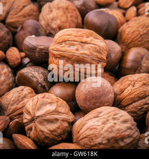 Diversi tipi di dadi in gusci ,anacardi, mandorle, noci, nocciole, pistacchi, nocciole, noci pecan e macadamia. Foto Stock