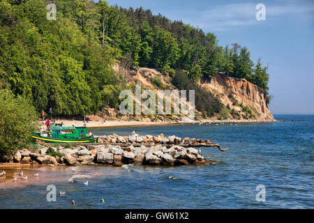 Orlowo Cliff a Gdynia, Polonia, costa del Mar Baltico Foto Stock