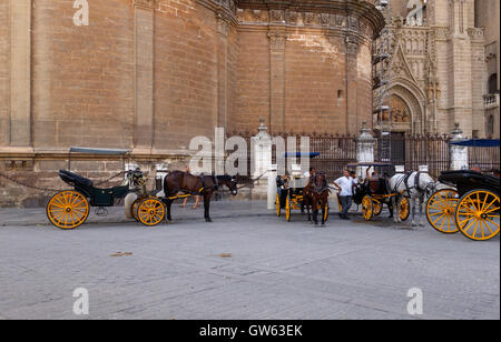 Siviglia Spain.carrozza a Cavallo di fronte alla Cattedrale di Giralda in attesa di clienti, Siviglia, Andalusia, Spagna. Foto Stock