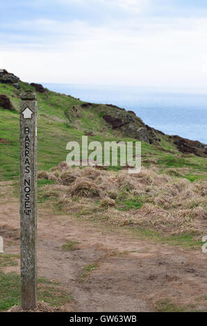 Barras naso costiere percorso a piedi, Tintagel, North Cornwall, Inghilterra Foto Stock