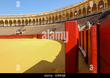 La Maestranza Bullring in Seville, Andalusia, Spagna. Foto Stock