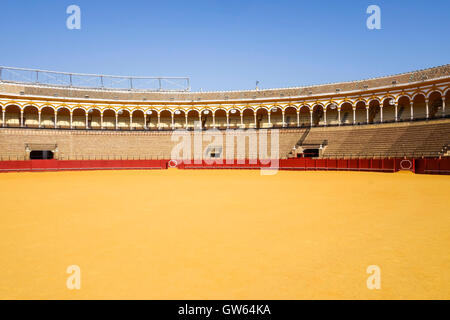 La Maestranza Bullring in Seville, Andalusia, Spagna. Foto Stock