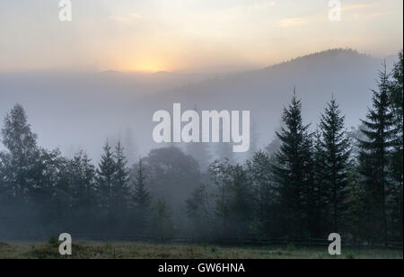 Fantastico scenario della campagna idilliaca con dolci colline velato di nebbia di mattina. Vista aerea di un casale in collina su un foggy s Foto Stock